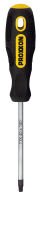 PROXXON 22242 DELİKLİ TORX TORNAVİDA TX30